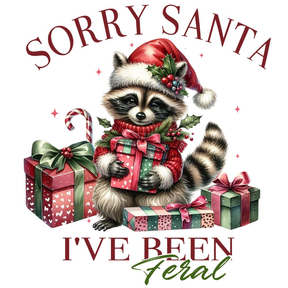 Sorry Santa Feral Racoon