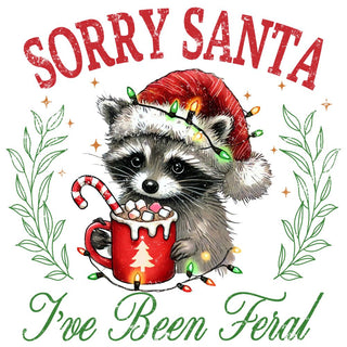 Sorry Santa Feral Racoon Cute