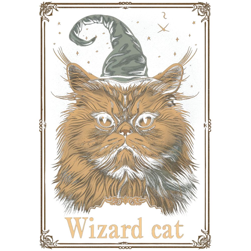 Wizard Cat