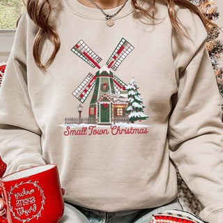 Small Town Christmas House