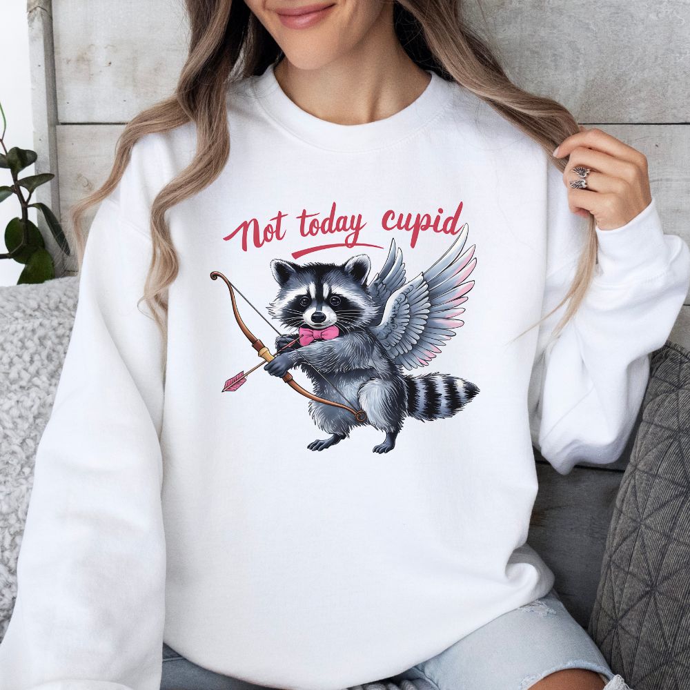 Not Today Cupid Racoon