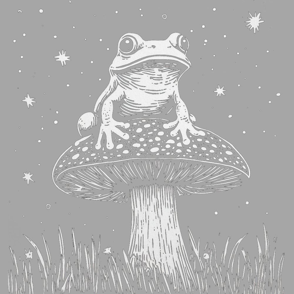 Night Toad On A Speckled Mushroom