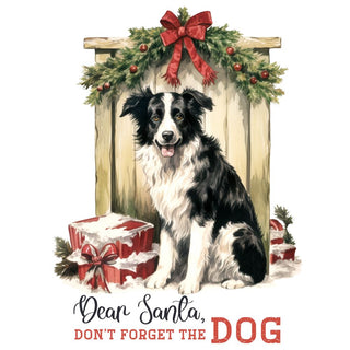 Dear Santa, Don