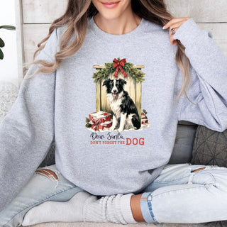 Dear Santa, Don