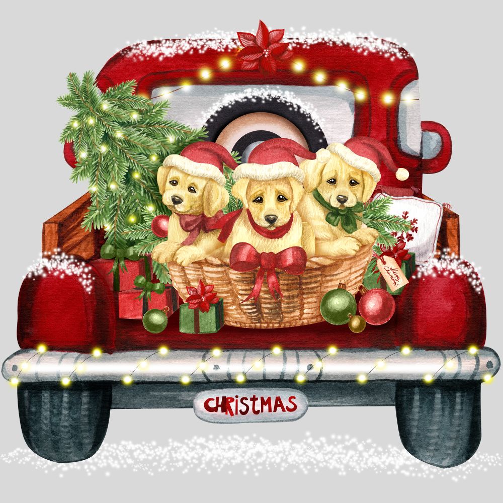 Christmas Labs