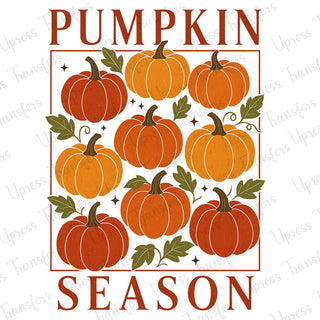 Boho Pumpkin Season