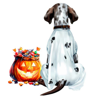 Dog Halloween