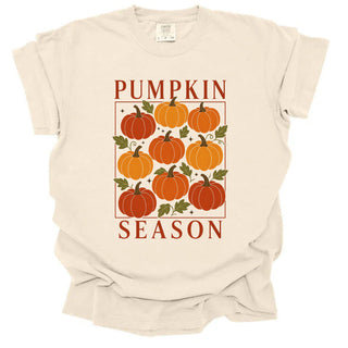 Boho Pumpkin Season