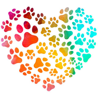 Colorful Paws