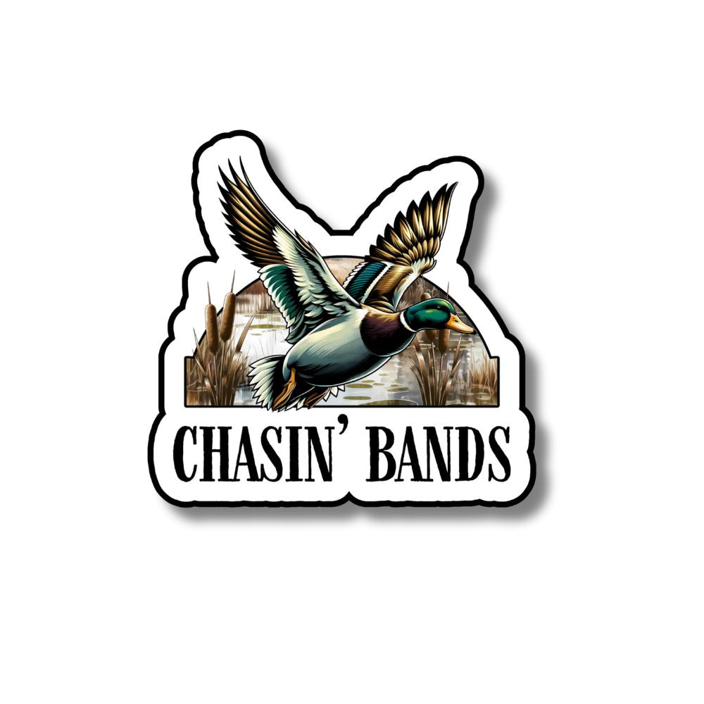 Chasin Bands