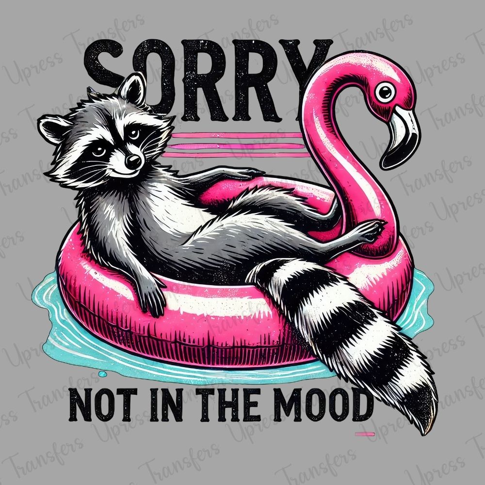 Not In The Mood Racoon