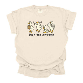 A Goose Lovin Jesus