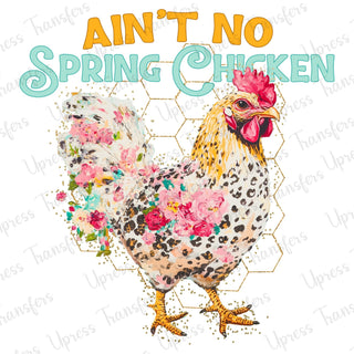 Ain