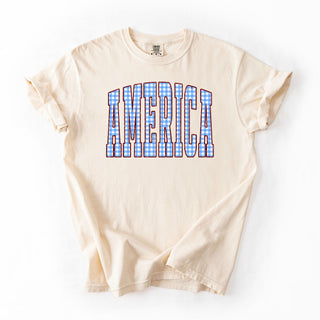 America Blue Plaid