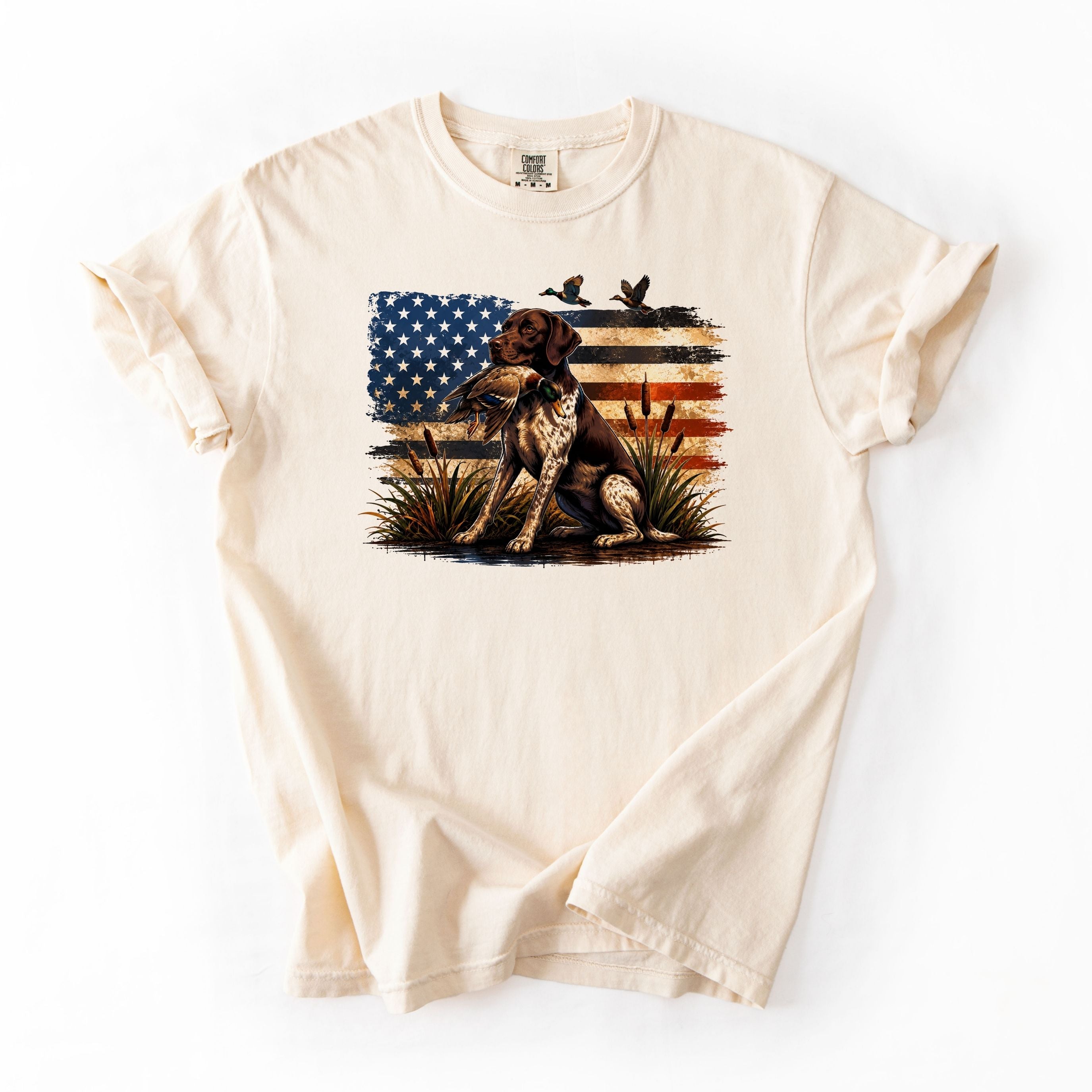 American pointer duck