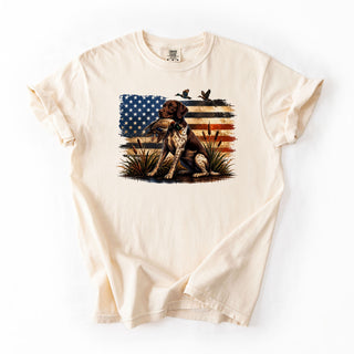 American pointer duck