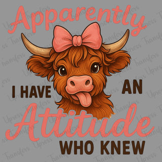 An Attitude