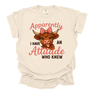 An Attitude