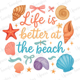 At The Beach Shells