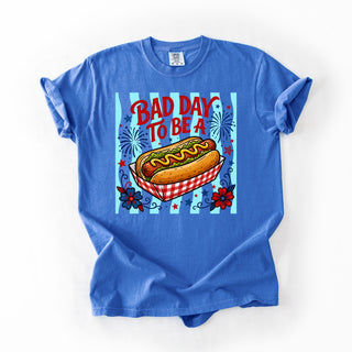 Baby Blue Stripes For Hotdog Day