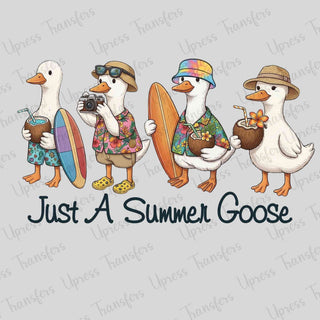 Beach Gooses