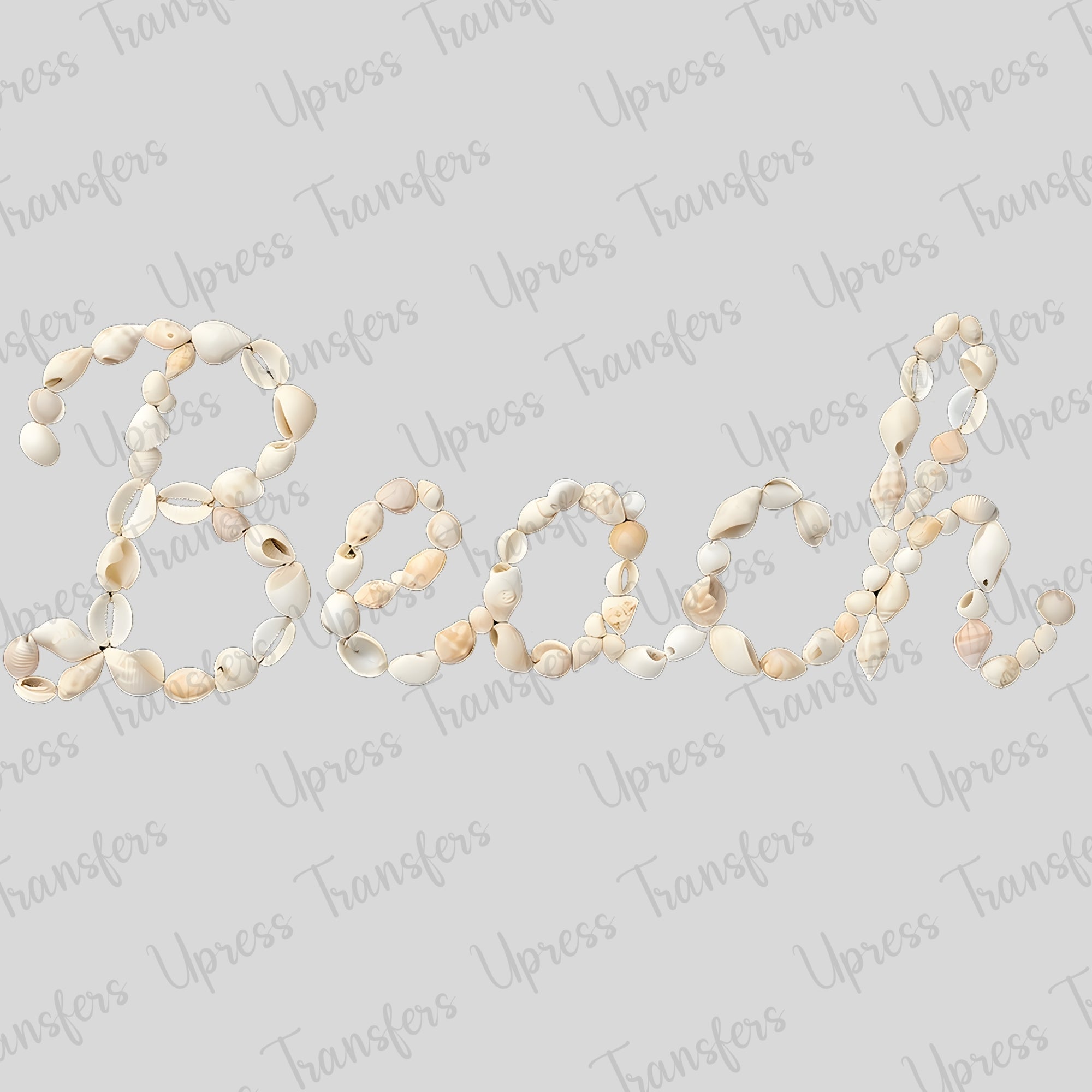 Beach Shells