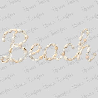 Beach Shells