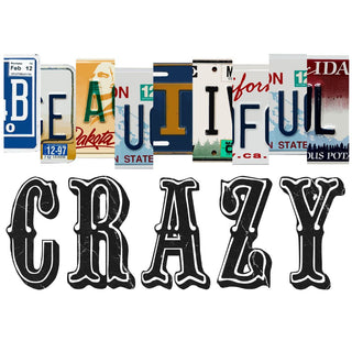 Beautiful Crazy 2