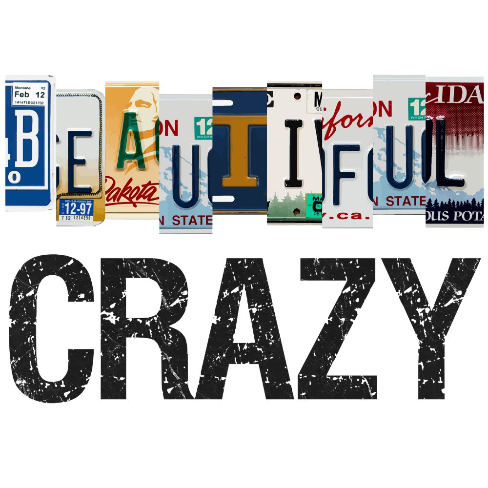 Copy of Beautiful Crazy 3