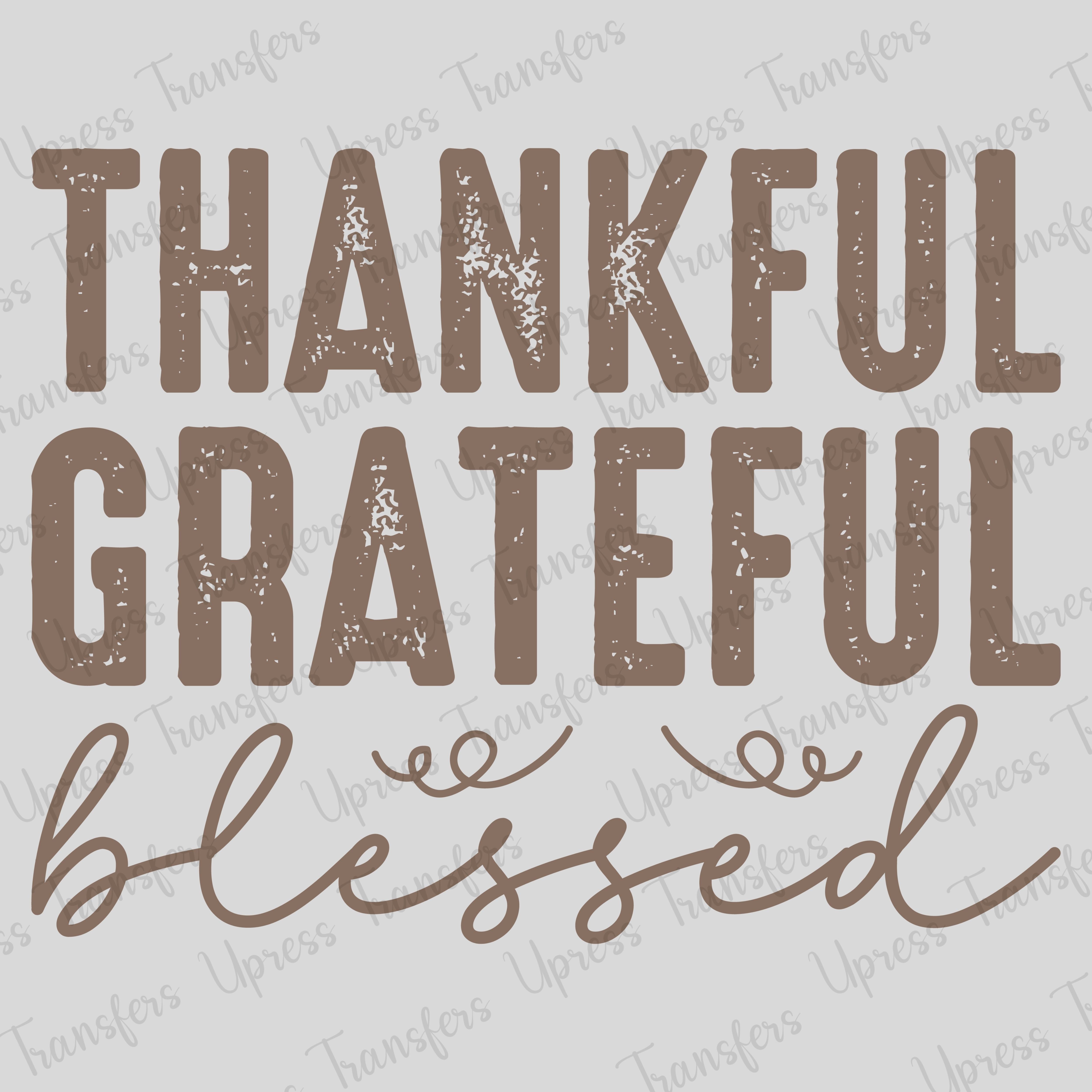 Beyond Thankful And Blessed
