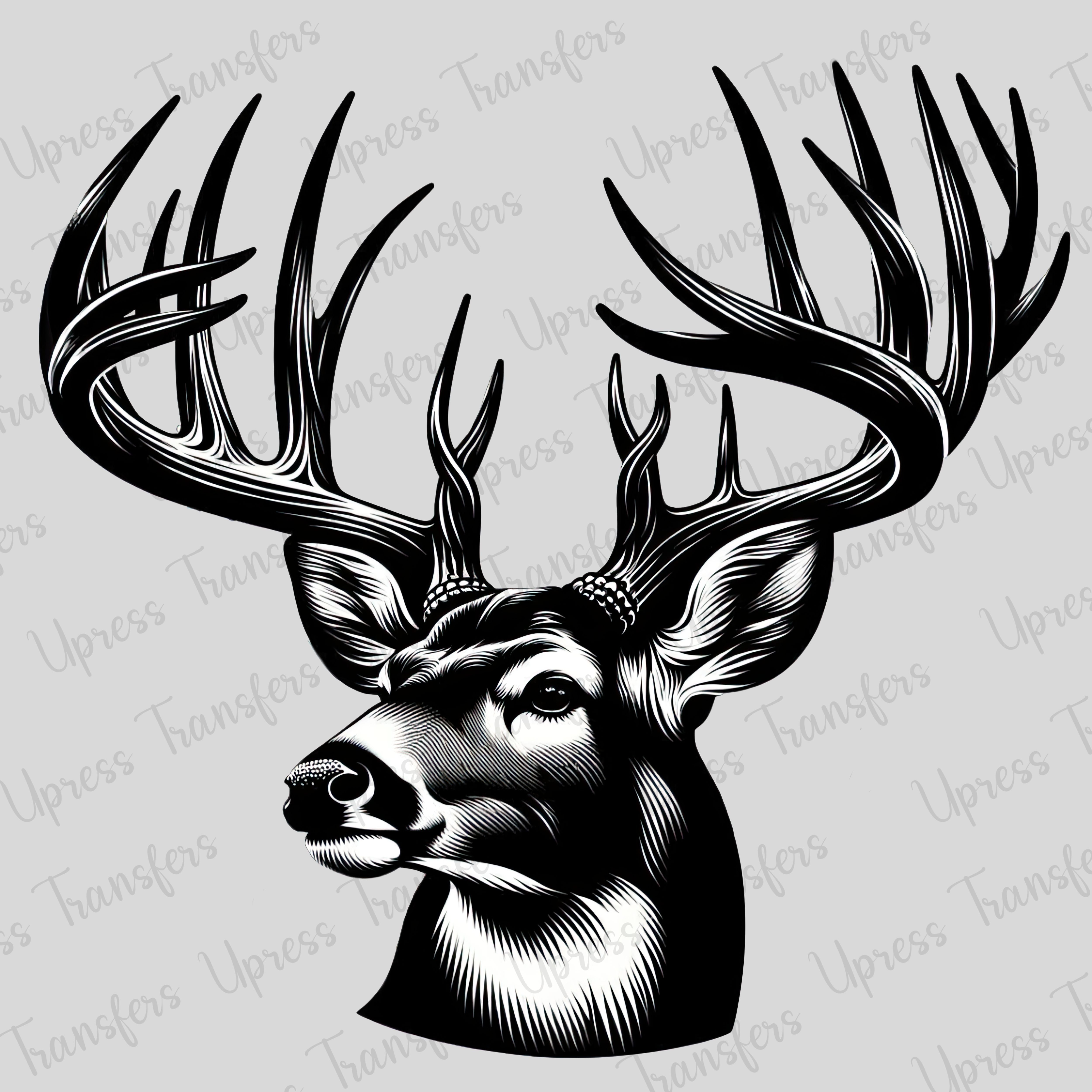 Big Rack