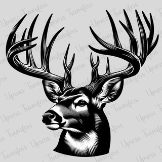 Big Rack