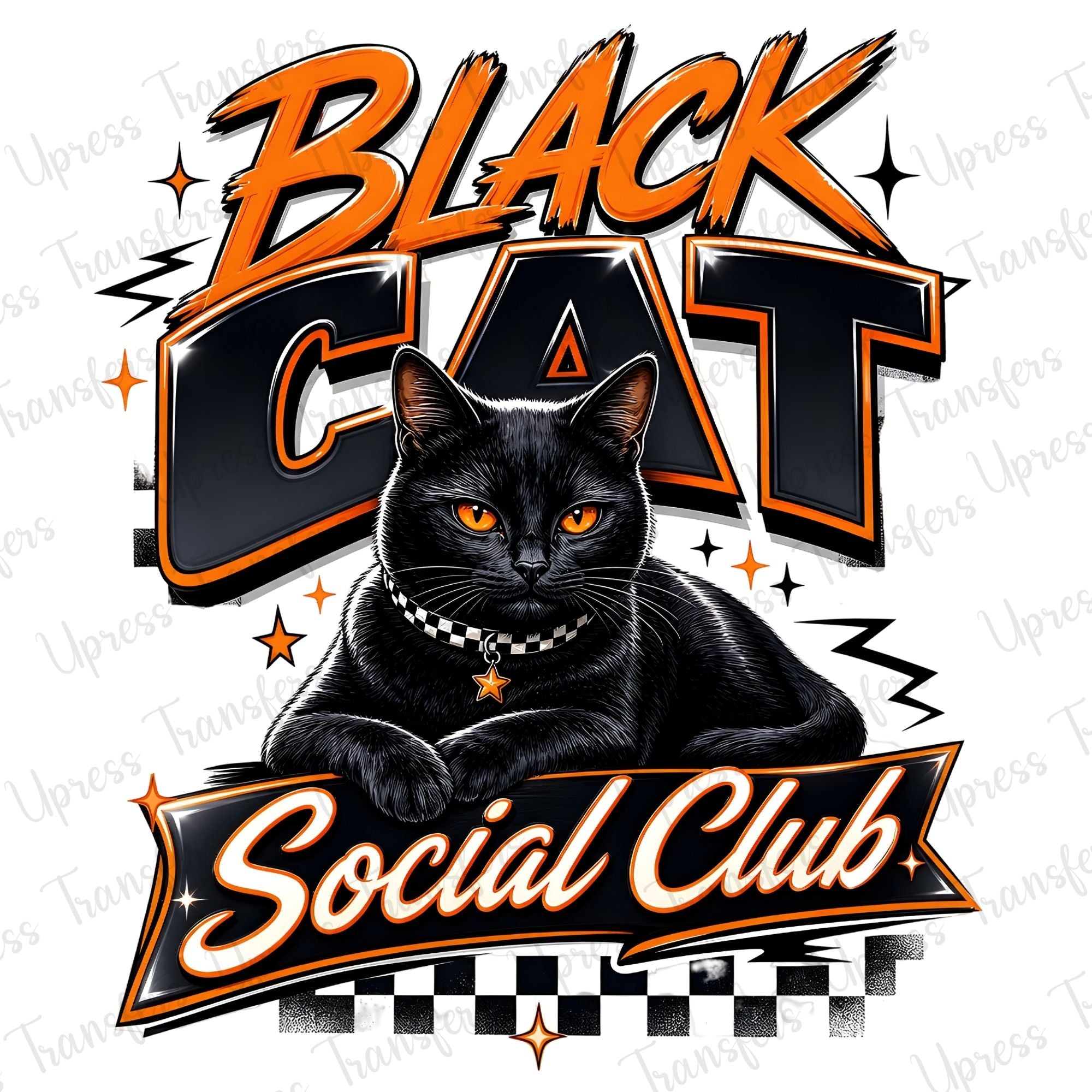 Cool Black Cat Social Club