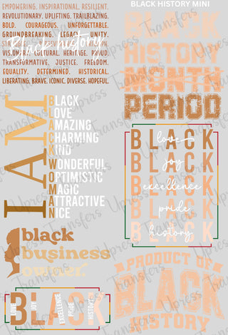Black History Mini