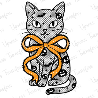 Black Lace Cat
