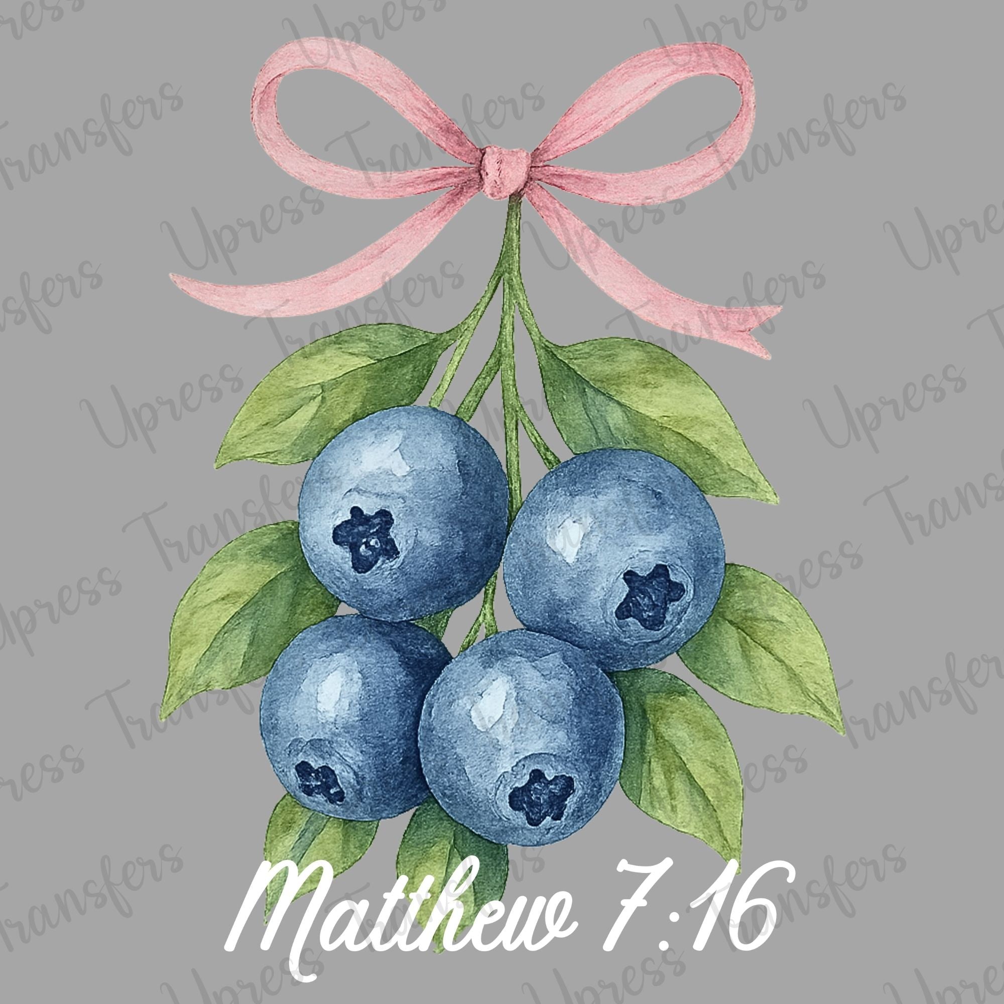 Blueberry Coquette Hanging