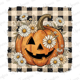 Boho Cream Pumpkin Fall