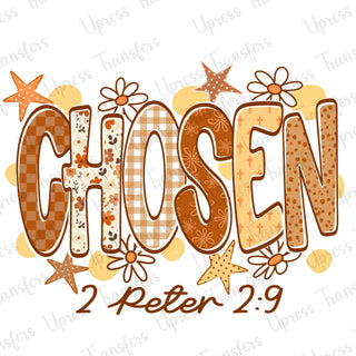 Boho Trendy Chosen