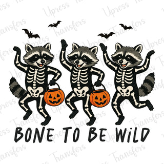 Bone To Be Wild Raccoons Trio