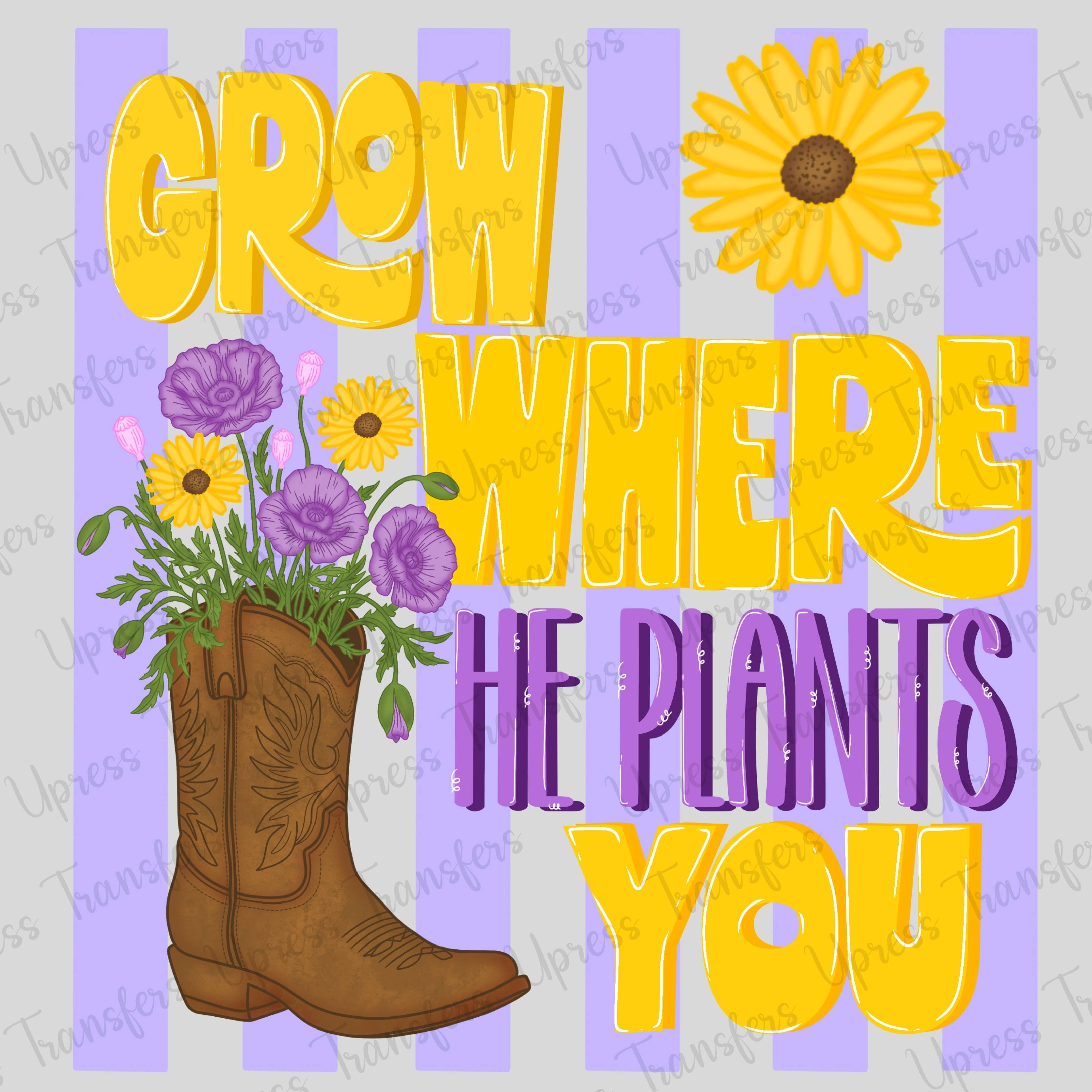 Bright And Grow Where He PLants