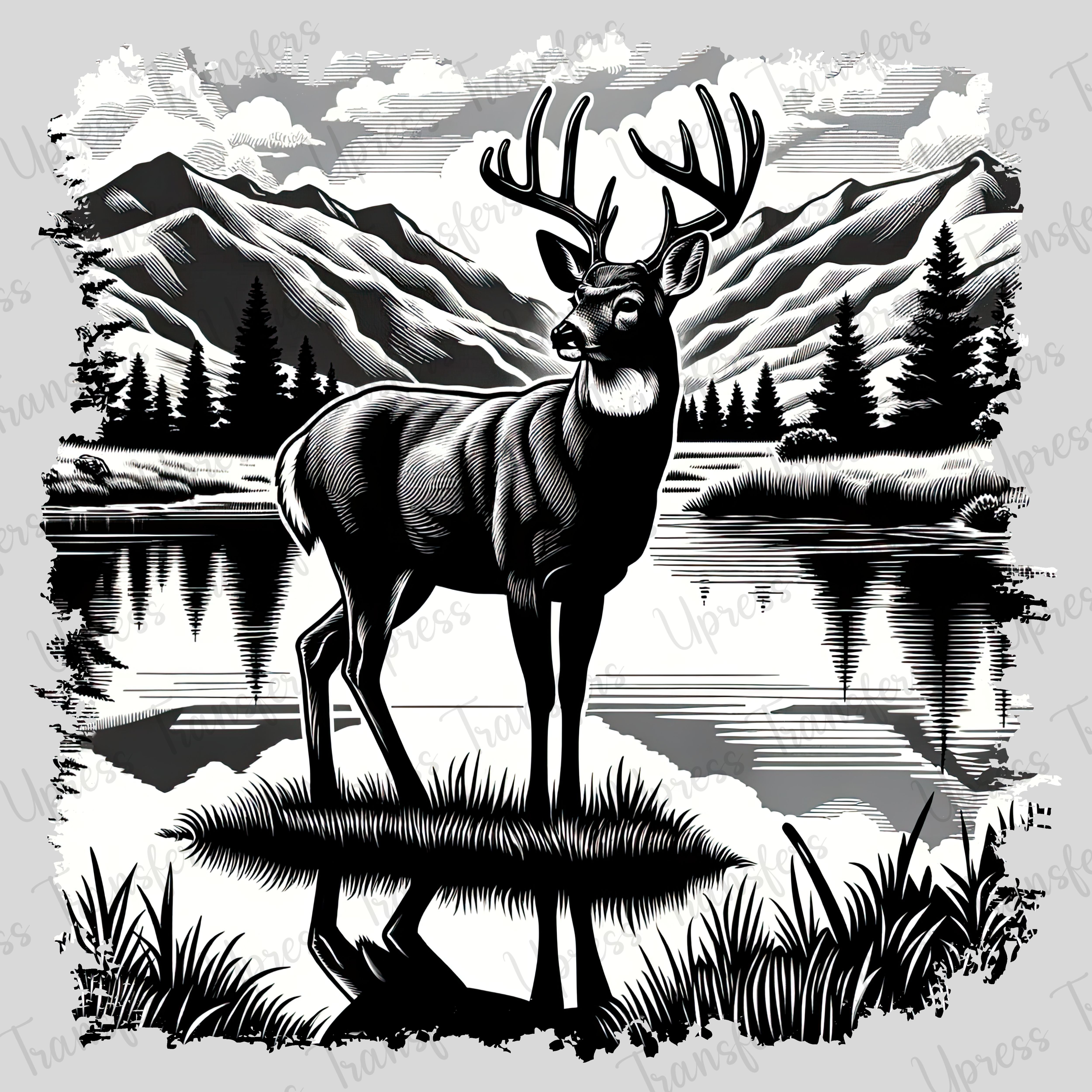 Buck On Water
