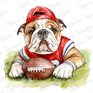 Bulldog Football