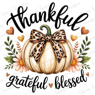 Calming thankful Pumpkin