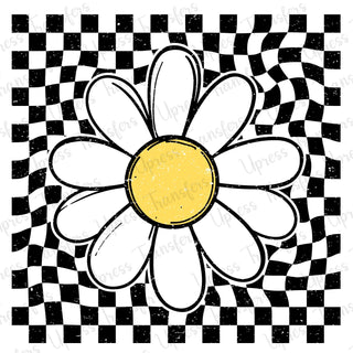 Checkered Daisy