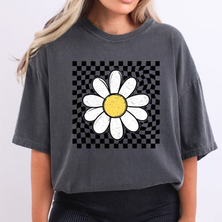 Checkered Daisy