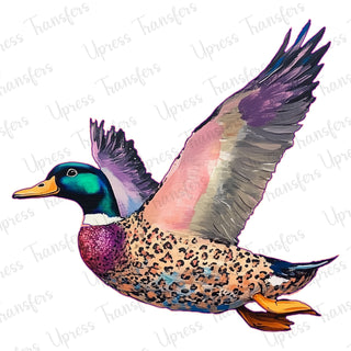 Cheetah Mallard