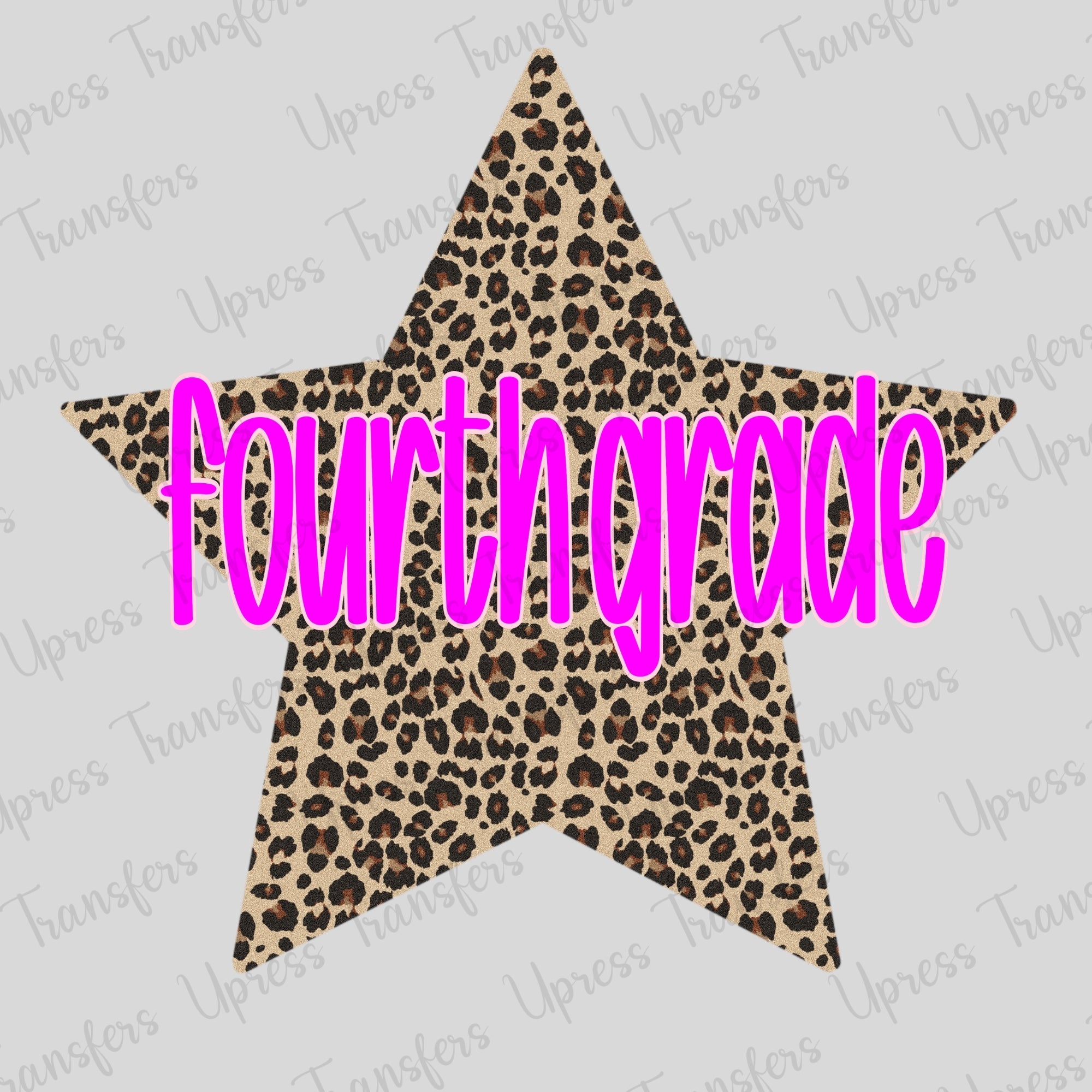 Cheetah Star Fourth Grade