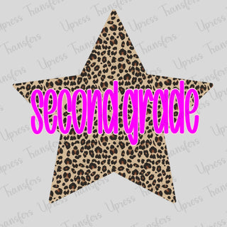 Cheetah Star Second Grade