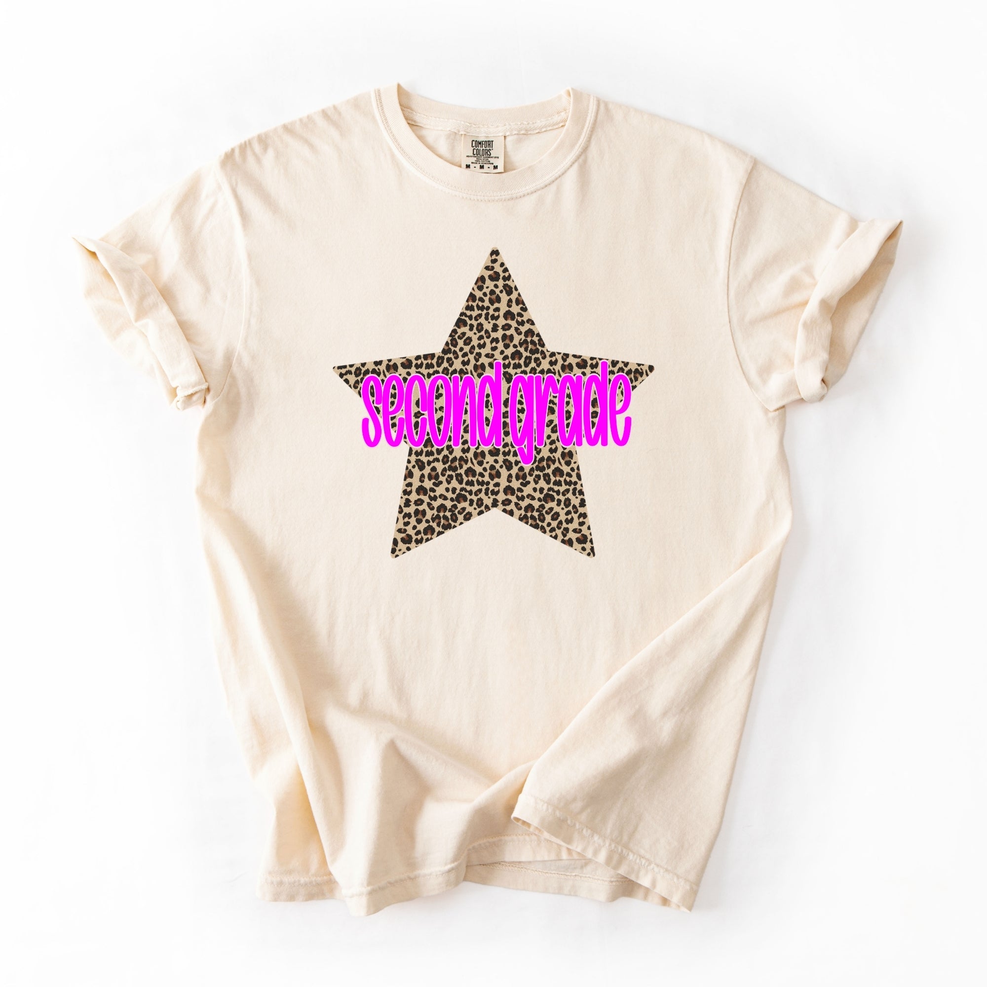 Cheetah Star Second Grade