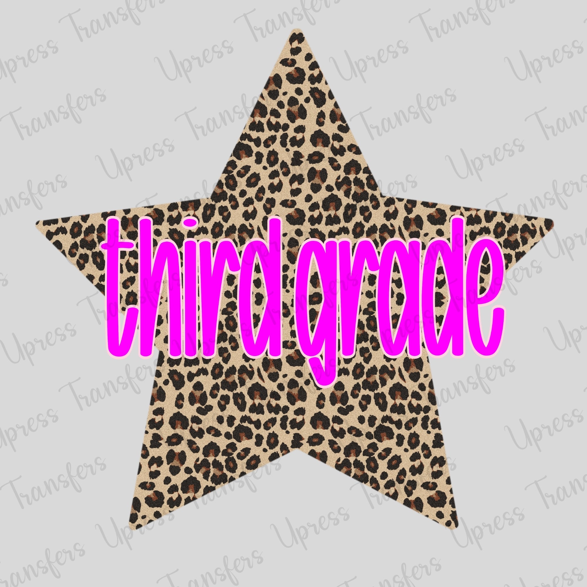 Cheetah Star Third Grade